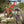 Load image into Gallery viewer, Inverted Mountainbike Suspension Fork