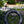 Load image into Gallery viewer, No-Nonsense Carbon Fatbike Wheels