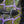 Load image into Gallery viewer, No-Nonsense Carbon Fatbike Wheels