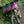 Load image into Gallery viewer, Inverted Mountainbike Suspension Fork