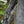 Load image into Gallery viewer, No-Nonsense Carbon Fatbike Wheels