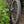 Load image into Gallery viewer, No-Nonsense Carbon Fatbike Wheels