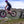 Load image into Gallery viewer, No-Nonsense Carbon Handlebars