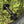 Load image into Gallery viewer, No-Nonsense Carbon Wheel