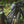 Load image into Gallery viewer, Perseverance Front Rack Pannier Accessory Add-On
