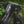 Load image into Gallery viewer, Perseverance Front Rack Pannier Accessory Add-On