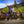 Load image into Gallery viewer, Perseverance OneRack