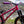 Load image into Gallery viewer, No-Nonsense Carbon Handlebars