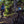Load image into Gallery viewer, Perseverance Adventure Flatbar