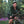 Load image into Gallery viewer, Perseverance Adventure Dropbar