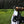 Load image into Gallery viewer, Perseverance Adventure Dropbar