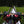 Load image into Gallery viewer, Perseverance Adventure Dropbar