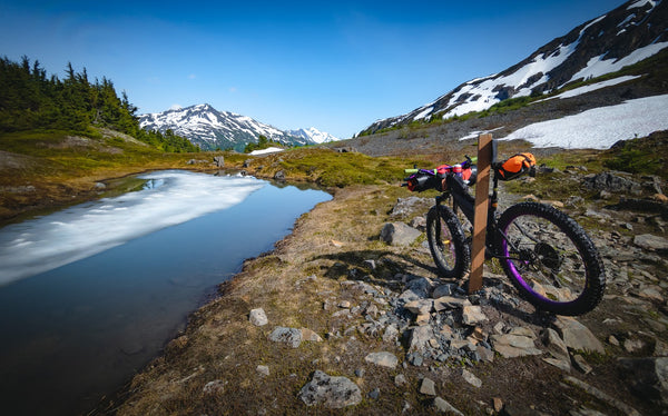 No-Nonsense EXTREME Torque Star Ratchet Fatbike Rear Hub