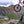 Load image into Gallery viewer, Inverted Mountainbike Suspension Fork