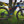 Load image into Gallery viewer, No-Nonsense Carbon Seatpost 650 Series