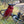 Load image into Gallery viewer, Perseverance Adventure Dropbar