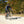 Load image into Gallery viewer, Perseverance Adventure Dropbar