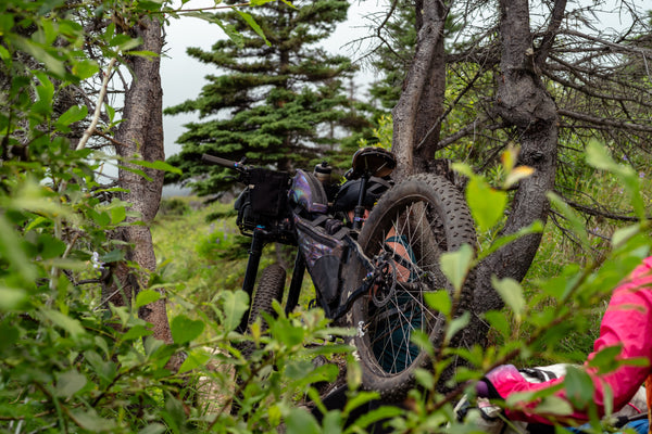 No-Nonsense Carbon Fatbike Wheels