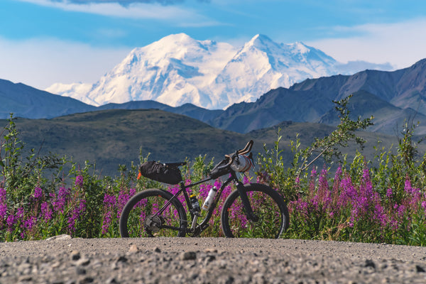 Beefcake Carbon Plus Gravel Fork