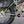 Load image into Gallery viewer, Singlespeed High Engagement Star Ratchet Extreme Torque Hubs | 190/197 mm &amp; 148 mm
